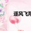 逐風飛翔（關于逐風飛翔的簡介）