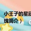 小王子的星辰與玫瑰（關于小王子的星辰與玫瑰簡介）