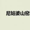 尼姑婆山窯址（關于尼姑婆山窯址簡介）