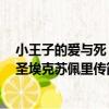小王子的愛與死：圣埃克蘇佩里傳（關于小王子的愛與死：圣埃克蘇佩里傳簡介）