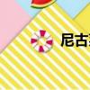 尼古萊（關于尼古萊簡介）