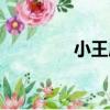 小王廟（關于小王廟簡介）