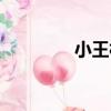 小王村（關于小王村簡介）