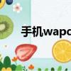 手機wapqq登錄（電腦wapqq登錄）