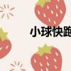 小球快跑2（關于小球快跑2簡介）