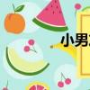 小男友（關于小男友簡介）