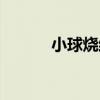 小球燒結（關于小球燒結簡介）