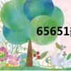 65651部隊駐扎在哪（65651）