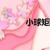 小球矩陣（關于小球矩陣簡介）