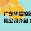 廣東華信控股有限公司（關于廣東華信控股有限公司介紹）