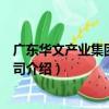 廣東華文產業集團有限公司（關于廣東華文產業集團有限公司介紹）
