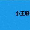 小王府街（關于小王府街簡介）