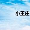小王莊村（關于小王莊村簡介）
