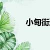 小甸街道（關于小甸街道簡介）