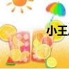 小王莊（關于小王莊簡介）