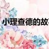 小理查德的故事（關于小理查德的故事簡介）