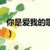 你是愛我的歌詞是什么意思（你是愛我的歌詞）