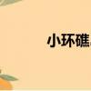 小環礁島（關于小環礁島簡介）