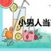 小男人當家（關于小男人當家簡介）