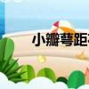 小瓣萼距花（關于小瓣萼距花簡介）