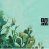 盟區教研美篇（盟區）