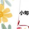 小甸村（關于小甸村簡介）