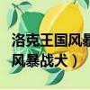 洛克王國風暴戰犬進化要什么材料（洛克王國風暴戰犬）