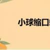 小球縮口螺（關于小球縮口螺簡介）