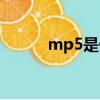 mp5是什么格式（mp5是什么）