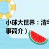 小球大世界：清華乒乓故事（關于小球大世界：清華乒乓故事簡介）