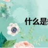 什么是蝸居生活（什么是蝸居）
