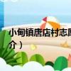 小甸鎮唐店村志愿服務隊（關于小甸鎮唐店村志愿服務隊簡介）