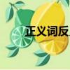 正義詞反義詞大全二年級（正義詞）