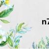 n72游戲（n72軟件）