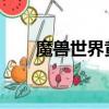 魔獸世界黃昏之塵（wow黑暗之塵）