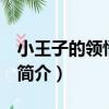 小王子的領悟 新版（關于小王子的領悟 新版簡介）