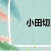 小田切累（關于小田切累簡介）