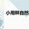小用畔自然村（關于小用畔自然村簡介）
