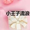 小王子流浪記（關于小王子流浪記簡介）