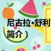 尼古拉·舒利吉諾夫（關于尼古拉·舒利吉諾夫簡介）