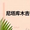 尼塔庫木吉他（關于尼塔庫木吉他簡介）