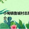 小甸鎮魯城村志愿服務隊（關于小甸鎮魯城村志愿服務隊簡介）