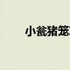 小甕豬籠草（關于小甕豬籠草簡介）