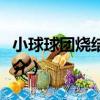 小球球團燒結工藝（關于小球球團燒結工藝簡介）