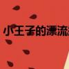 小王子的漂流瓶（關于小王子的漂流瓶簡介）