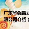 廣東華強置業有限公司（關于廣東華強置業有限公司介紹）