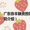 廣東協豐融資擔保有限公司（關于廣東協豐融資擔保有限公司介紹）