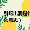 引蛇出洞是什么意思什么生肖（引蛇出洞是什么意思）