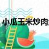 小瓜玉米炒肉絲（關于小瓜玉米炒肉絲簡介）