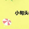 小甸頭村（關于小甸頭村簡介）
